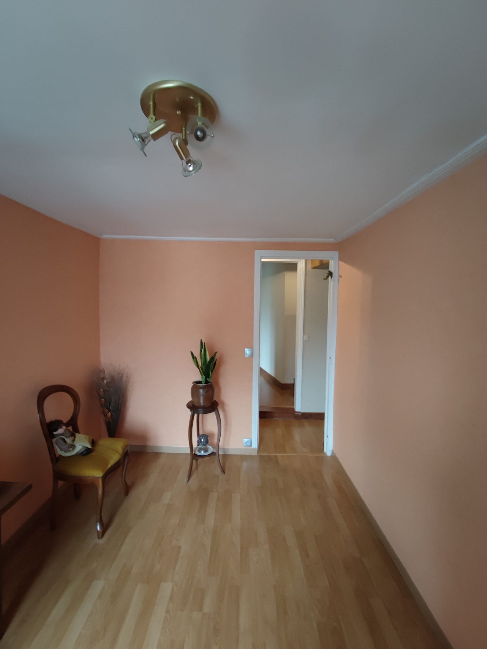 Pièce avant rénovation, avec murs saumon, plafonnier et porte ouverte dans la cloison.